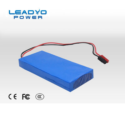 lítio Ion Iron Phosphate Battery Customized de 24V 10Ah com RS485