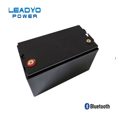 Caixa plástica das baterias 12V 100amp Screwable de LEADYO BMS Marine Lifepo 4