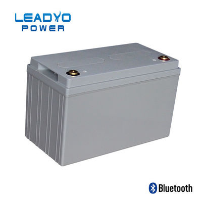 Bateria selada de 12V 120ah Lifepo4 com a caixa do ABS de Bluetooth BMS