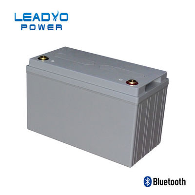 a bateria de 50Ah 24V Lifepo4 dá um ciclo profundamente o lítio Ion Battery Weight 31 libras